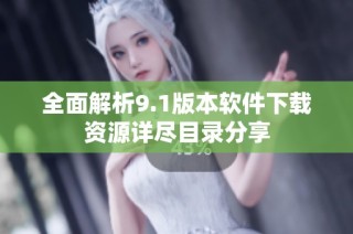 全面解析9.1版本软件下载资源详尽目录分享