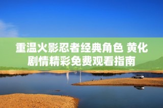 重温火影忍者经典角色 黄化剧情精彩免费观看指南