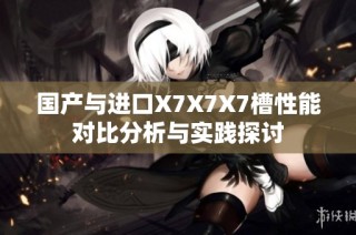 国产与进口X7X7X7槽性能对比分析与实践探讨