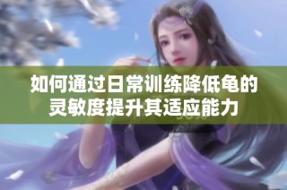 如何通过日常训练降低龟的灵敏度提升其适应能力