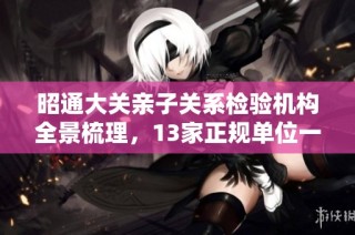 昭通大关亲子关系检验机构全景梳理，13家正规单位一览