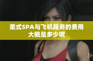 柔式SPA与飞机服务的费用大概是多少呢