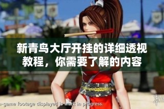 新青鸟大厅开挂的详细透视教程，你需要了解的内容
