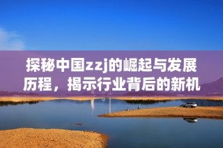 探秘中国zzj的崛起与发展历程，揭示行业背后的新机遇