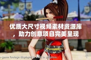 优质大尺寸视频素材资源库，助力创意项目完美呈现