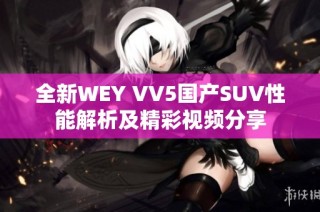 全新WEY VV5国产SUV性能解析及精彩视频分享