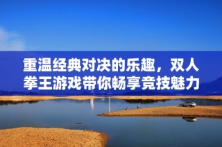 重温经典对决的乐趣，双人拳王游戏带你畅享竞技魅力