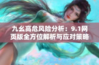 九幺高危风险分析：9.1网页版全方位解析与应对策略