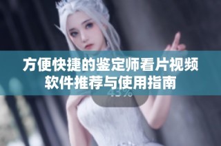 方便快捷的鉴定师看片视频软件推荐与使用指南