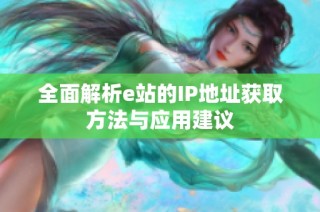 全面解析e站的IP地址获取方法与应用建议