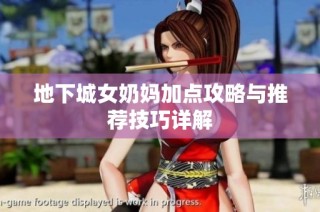 地下城女奶妈加点攻略与推荐技巧详解