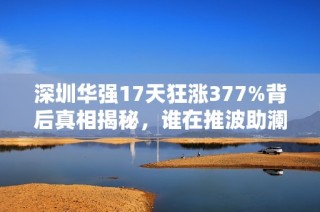 深圳华强17天狂涨377%背后真相揭秘，谁在推波助澜？
