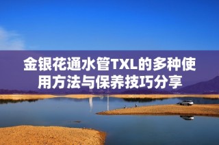 金银花通水管TXL的多种使用方法与保养技巧分享
