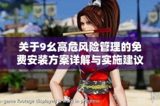 关于9幺高危风险管理的免费安装方案详解与实施建议