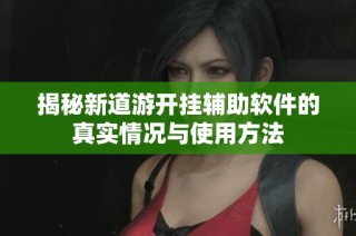 揭秘新道游开挂辅助软件的真实情况与使用方法