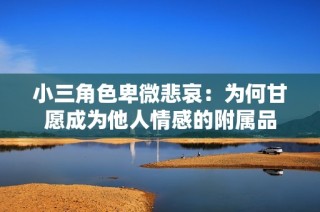 小三角色卑微悲哀：为何甘愿成为他人情感的附属品