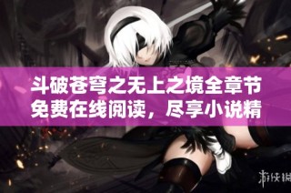 斗破苍穹之无上之境全章节免费在线阅读，尽享小说精彩内容