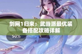 剑网1归来：武当派最优装备搭配攻略详解