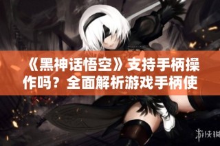 《黑神话悟空》支持手柄操作吗？全面解析游戏手柄使用体验
