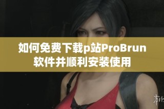 如何免费下载p站ProBrun软件并顺利安装使用