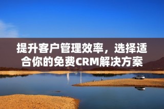 提升客户管理效率，选择适合你的免费CRM解决方案
