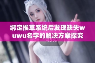 绑定挨草系统后发现缺失wuwu名字的解决方案探究