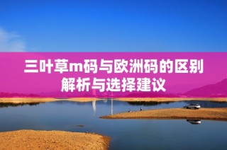 三叶草m码与欧洲码的区别解析与选择建议