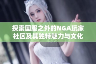 探索国服之外的NGA玩家社区及其独特魅力与文化