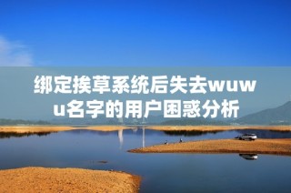 绑定挨草系统后失去wuwu名字的用户困惑分析