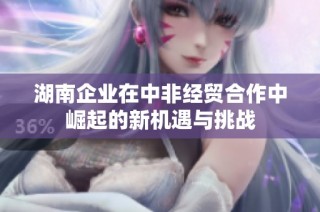 湖南企业在中非经贸合作中崛起的新机遇与挑战