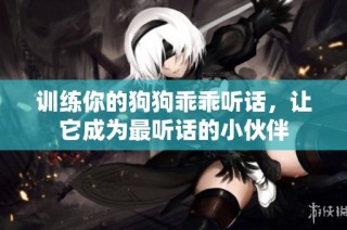 训练你的狗狗乖乖听话，让它成为最听话的小伙伴