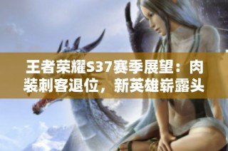 王者荣耀S37赛季展望：肉装刺客退位，新英雄崭露头角