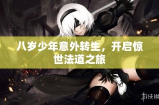 八岁少年意外转生，开启惊世法道之旅