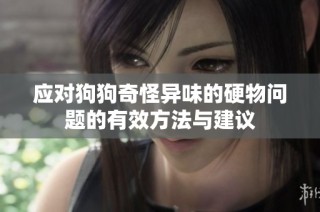 应对狗狗奇怪异味的硬物问题的有效方法与建议