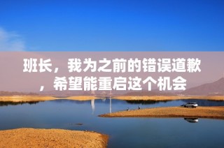 班长，我为之前的错误道歉，希望能重启这个机会