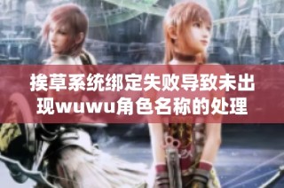 挨草系统绑定失败导致未出现wuwu角色名称的处理方法