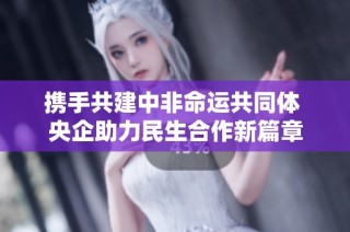 携手共建中非命运共同体 央企助力民生合作新篇章
