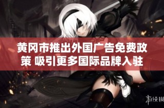 黄冈市推出外国广告免费政策 吸引更多国际品牌入驻
