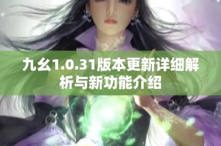 九幺1.0.31版本更新详细解析与新功能介绍