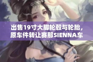 出售19寸大脚轮毂与轮胎，原车件转让赛那SIENNA车友