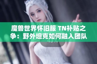 魔兽世界怀旧服 TN补贴之争：野外坦克如何融入团队信任体系