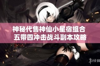 神秘代售神仙小星宿组合 五带四冲击战斗副本攻略