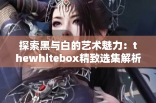 探索黑与白的艺术魅力：thewhitebox精致选集解析