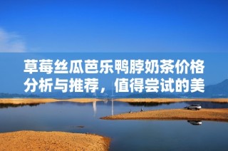 草莓丝瓜芭乐鸭脖奶茶价格分析与推荐，值得尝试的美味选择