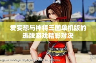 爱妄想与神将三国单机版的逃脱游戏精彩对决