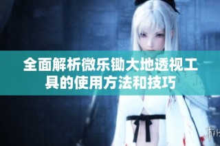 全面解析微乐锄大地透视工具的使用方法和技巧
