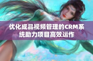 优化成品视频管理的CRM系统助力项目高效运作