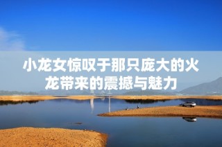 小龙女惊叹于那只庞大的火龙带来的震撼与魅力