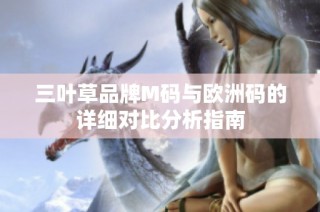 三叶草品牌M码与欧洲码的详细对比分析指南