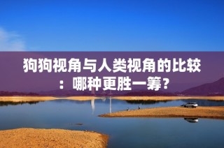 狗狗视角与人类视角的比较：哪种更胜一筹？
